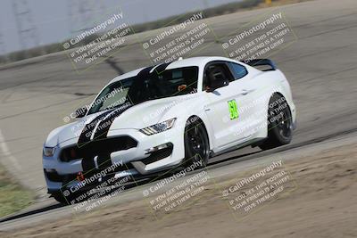 media/Oct-21-2023-Speed Ventures (Sat) [[ddf75163c5]]/Green/Grapvine/